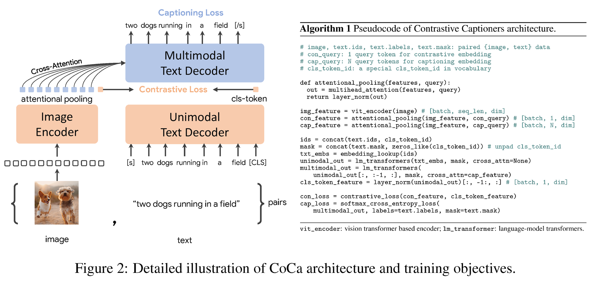 Detailed illustration of CoCa architecture and training objectives.